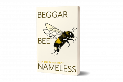 Beggar Bee Nameless book